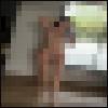 Obrázek 'Normalnudes 93'